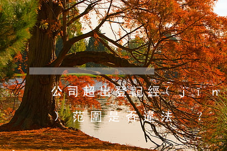 公司超出登記經(jīng)營(yíng)范圍是否違法？